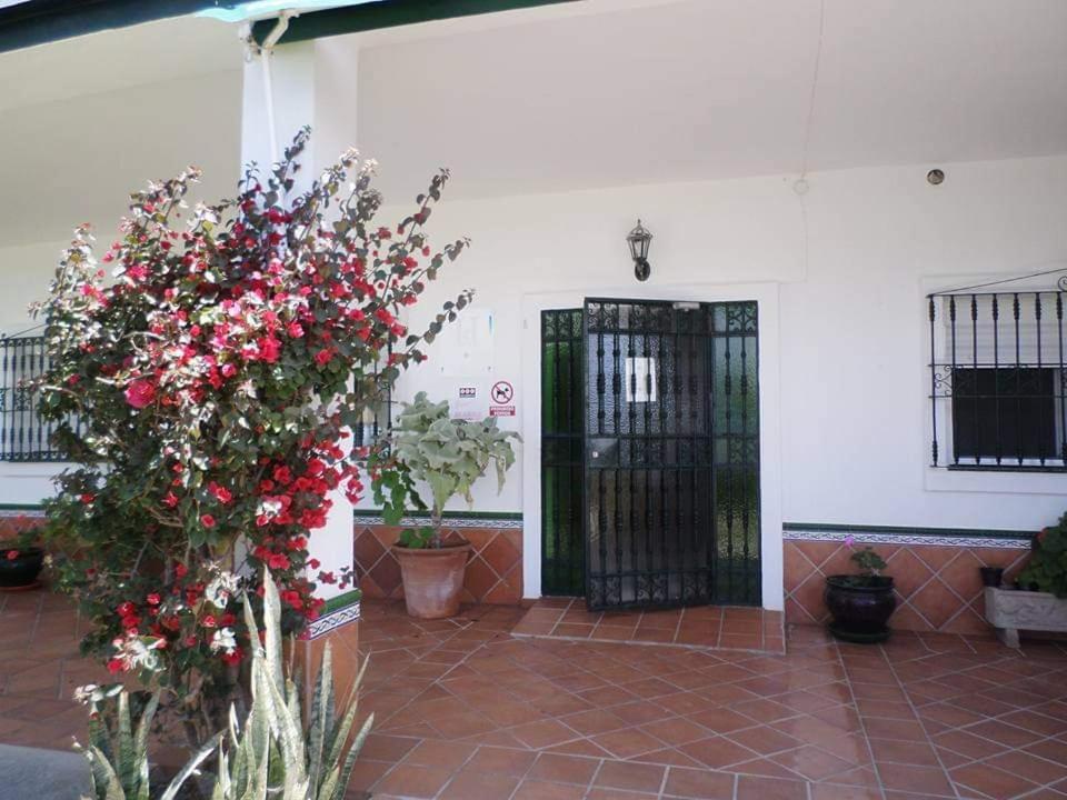 Hostal Restaurante La Ilusion El Palmar (Andalucia) Exterior foto